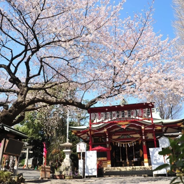 神社を迷われている方もご遠慮なくご相談ください