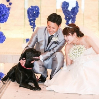 ウエディングケーキプレゼント!愛犬との挙式が叶うDog WEDDING