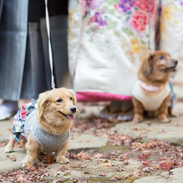 一緒にお写真もたくさん残して頂けます！