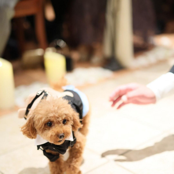 挙式にも参加OK！衣装もお洒落に★