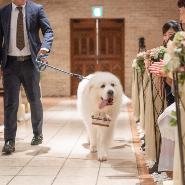 二人の大切な結婚指輪を運ぶリングドック君♪