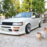 愛犬と愛車でゲストをお出迎え!お二人らしさを演出できます!