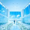 ニーズ常滑 by T&G WEDDING(旧 アルモニーヴィラ オージャルダン)