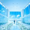 ニーズ常滑 by T&G WEDDING(旧 アルモニーヴィラ オージャルダン)