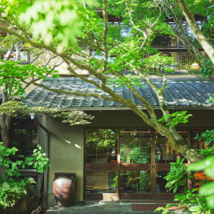 樹齢400余年のもみの木と共に、時代の変遷を見守ってきた|三瀧荘の写真(56617407)