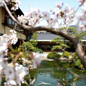 季節によって姿を変える日本庭園の景色。|THE GARDEN DINING 弓絃葉（ザ・ガーデンダイニング ユズルハ）の写真(5079619)