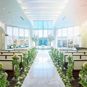 アルカーサルアヴィオ