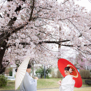 和装も洋装も◎大人気の桜でロケーション撮影 相談会