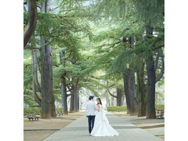 New!【あがたの森挙式×アルモニービアン披露宴プラン】新登場