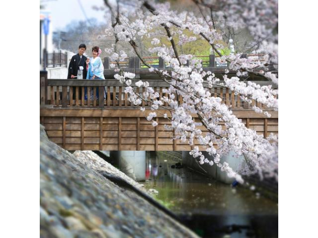 【送迎バス宿泊サポート】遠方からのゲスト様が多い方の特典