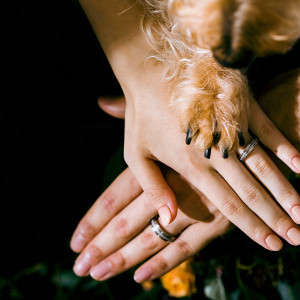 愛犬との結婚式OK|THE CLASSICA BAY RESORT （ザ クラシカ ベイリゾート）の写真(17055713)