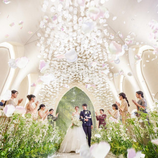 初めてフェア◎【気軽なファーストステップ】コース試食&ギフト