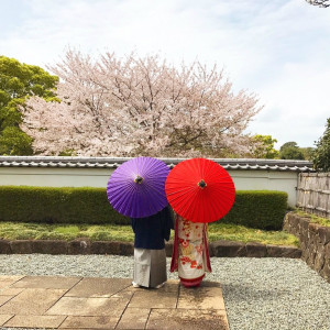 桜咲く季節感溢れる前撮りをこの場所で|グランディエールブケトーカイの写真(3839396)