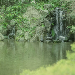背景に広がる緑豊かな庭園に流れ落ちる神の水の夫婦滝|Precious&Gracious マリエール 神水苑の写真(3106151)