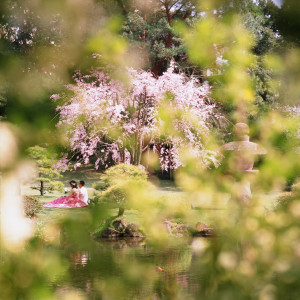 春には桜も咲く四季折々の風情がある庭園|Precious&Gracious マリエール 神水苑の写真(35464859)