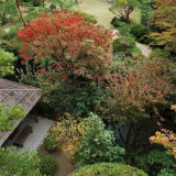 秋の庭園