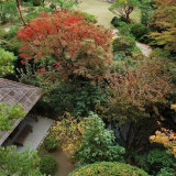 秋の庭園