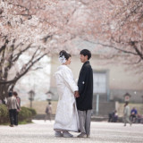 桜の下で✽白無垢