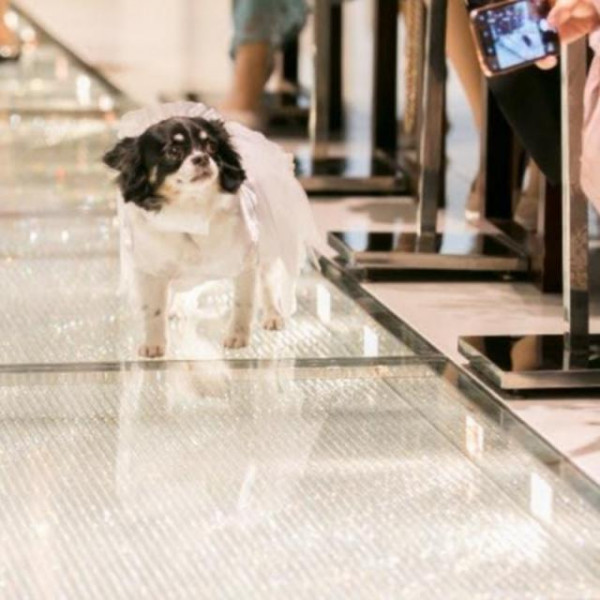 お2人の大切な「家族」と