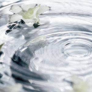 ーchapelー新しい誓いのかたち<水の誓い>|IRIS WATER TERRACE AYAMEIKE（イリスウォーターテラスあやめ池）の写真(41867611)