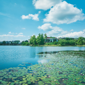 IRIS WATER TERRACE AYAMEIKE（イリスウォーターテラスあやめ池）の写真(53464033)