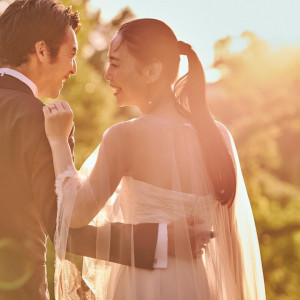 【12/14限定】極上フルコース試食×今だけ特別特典プレゼント