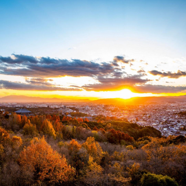 若草山の景色を堪能できるホテルでゆったりとした時間を!