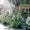 IRIS WATER TERRACE AYAMEIKE（イリスウォーターテラスあやめ池）