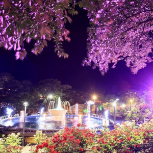 幻想的な光とバラの空間が広がる「ナイトローズガーデン」華やかに咲くバラは色とりどりのイルミネーションで美しく輝きふたりを照らす最高のロケーション|花巻温泉 －The Grand Resort Hanamaki Onsen－の写真(9296641)
