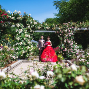 広さ約5,000坪の敷地に約450種6,000株をこえるバラ園では美しいバラを背景に行うフォトウエディングが魅力。撮影中は豊かな甘い香りに癒され笑顔溢れるひと時に|花巻温泉 －The Grand Resort Hanamaki Onsen－の写真(25106090)