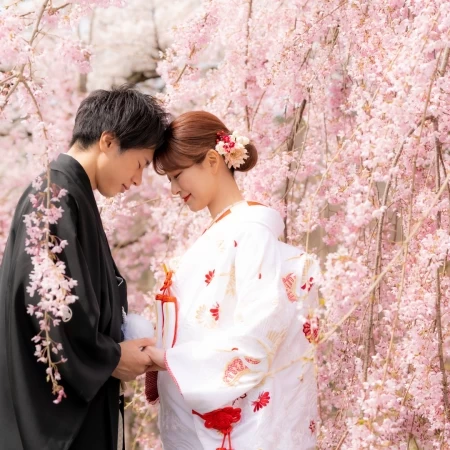 四季折々の撮影も