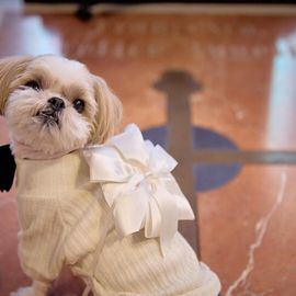 【愛犬と一緒】ガーデン付のチャペルで一緒に過ごすペット婚*