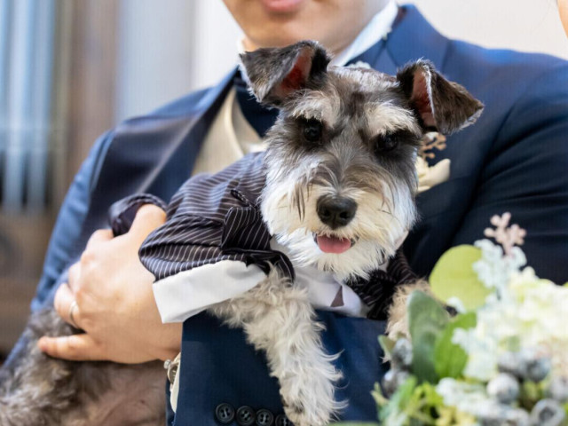 大規模リニューアル記念特別特典