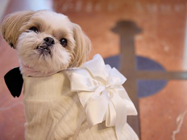 【来館したいと思われる理由】先輩花嫁が会場探しの1軒目に選んだ決め手は