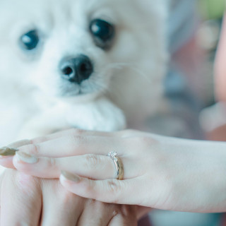 【ペットと一緒に貸切ウェディング】リングドッグ&専用衣装付12大特典!