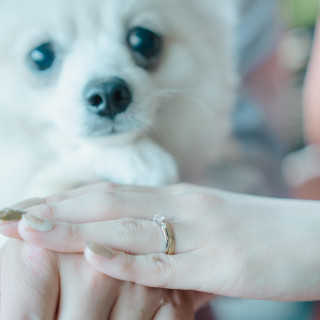 【ペットと一緒に貸切ウェディング】リングドッグ＆専用衣装付12大特典！