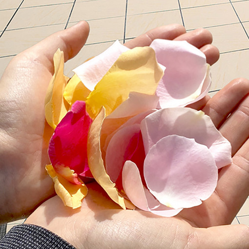 ラソール ガーデン・アリビラ クリスティア教会 チュチュリゾートウエディング