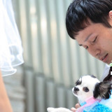 都内では珍しリングドックも可能!可愛らしい愛犬にリングを運ぶお手伝いを。
