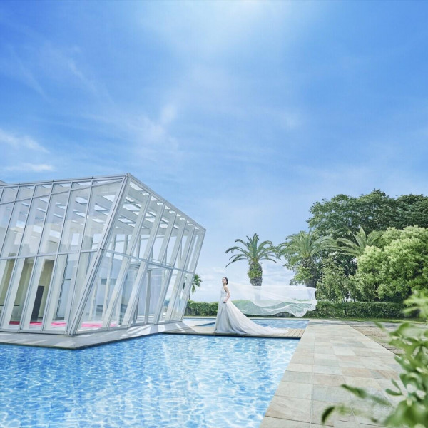 期間限定の特別価格