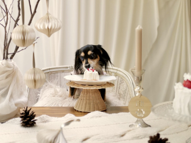 ★全ての会場でペットOK★