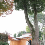 挙式後の写真タイムでは広大な境内を使ってたくさんの写真が撮れます