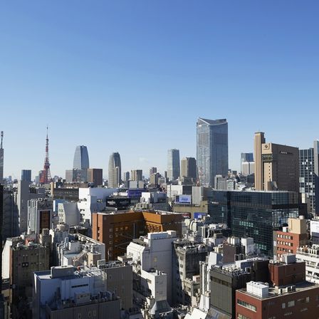 優雅な景色をゲストに贈ろう|ザ マグナス 東京（THE MAGNUS TOKYO)の写真(999910)