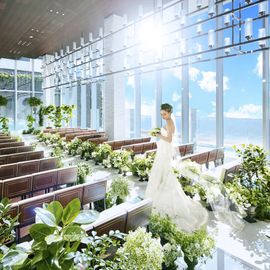 【Amazon含む最大6万ギフト×145万優待】森×水の貸切&3万試食