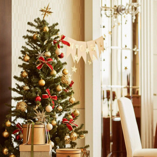 Xmas限定*衣装3着＆140万特典*天空チャペル＆豪華3万試食