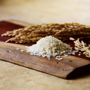 その年の、季節、場所で最良の食材を追求する|AMANDAN BLUE 鎌倉 ～アマンダンブルー鎌倉～の写真(56043103)