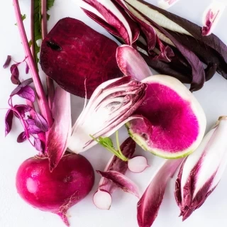 厳選されたこだわりの新鮮食材で”シンプルにおいしくて綺麗なお料理”を。