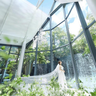 【大好評】フェア参加の皆様にドレス1着（20万円相当）プレゼント