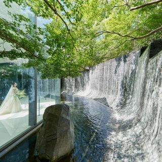 【水曜限定140万特典】1万ギフト付×滝のチャペル＆ハーフコース試食