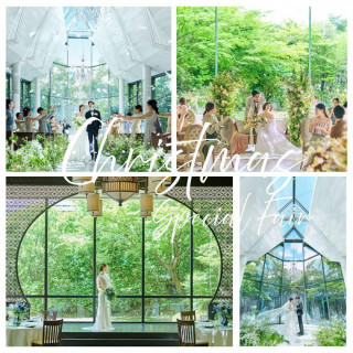 【クリスマス限定】滝の流れる教会×和牛試食×最大155万優待