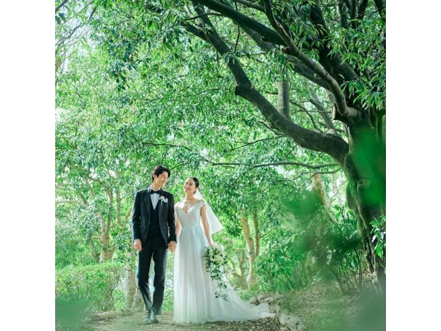 申込後も安心サポート